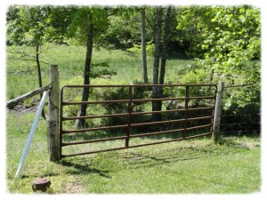 Cattle Gate