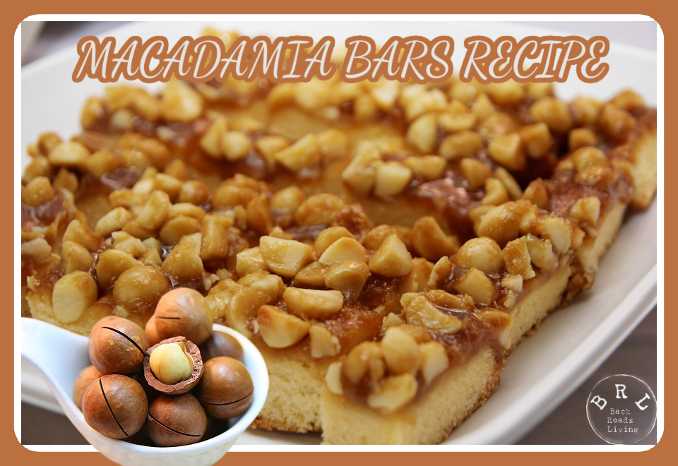 MACADAMIA BARS RECIPE