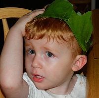 easy blackberry cobbler 