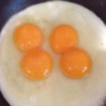 Double Yolk Egg