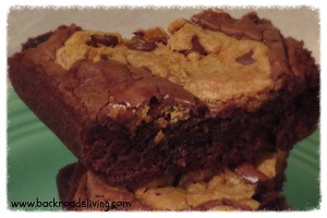 Chocolate Chip Brownies