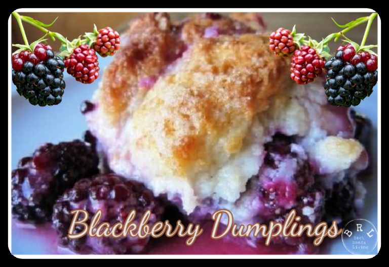 Home Made Blackberry Dumplings Recipe Back Roads Living